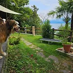 Дом отдыха Mid Of Nature ' Bella Vista Maggiore Mit Traumhaften Seeblick, Terrasse Und Grossen Garten