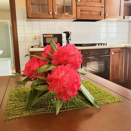 펜션 Mid Of Nature ' Bella Vista Maggiore Mit Traumhaften Seeblick, Terrasse Und Grossen Garten *