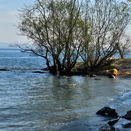 Mid Of Nature ' Bella Vista Maggiore Mit Traumhaften Seeblick, Terrasse Und Grossen Garten Nyaraló Ghiffa