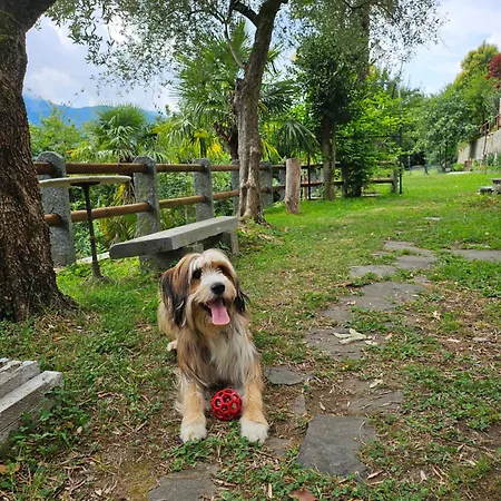 Nyaraló Mid Of Nature ' Bella Vista Maggiore Mit Traumhaften Seeblick, Terrasse Und Grossen Garten *