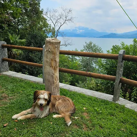 Mid Of Nature ' Bella Vista Maggiore Mit Traumhaften Seeblick, Terrasse Und Grossen Garten 펜션 기파