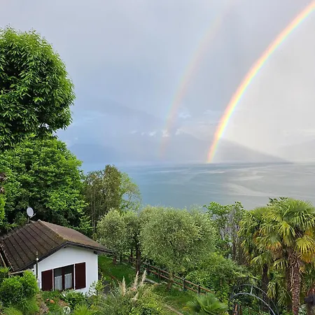 Dom wakacyjny Mid Of Nature ' Bella Vista Maggiore Mit Traumhaften Seeblick, Terrasse Und Grossen Garten