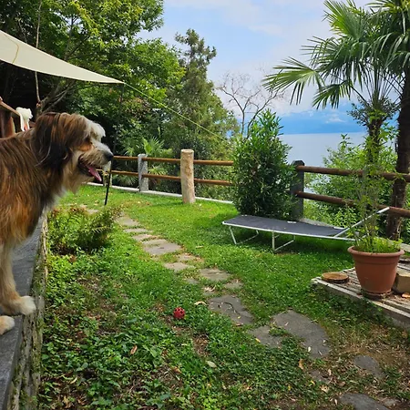펜션 Mid Of Nature ' Bella Vista Maggiore Mit Traumhaften Seeblick, Terrasse Und Grossen Garten