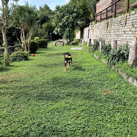 Mid Of Nature ' Bella Vista Maggiore Mit Traumhaften Seeblick, Terrasse Und Grossen Garten *