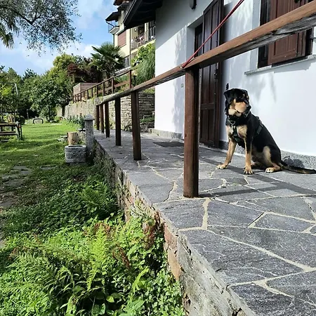 Mid Of Nature ' Bella Vista Maggiore Mit Traumhaften Seeblick, Terrasse Und Grossen Garten Dom wakacyjny Ghiffa