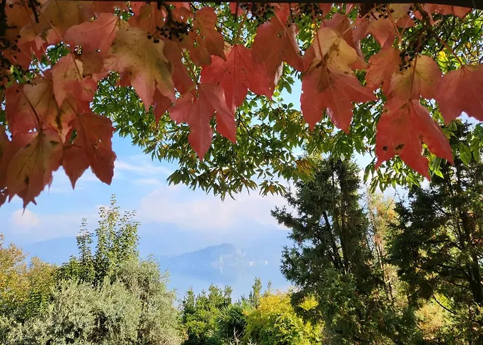 Dom wakacyjny Mid Of Nature ' Bella Vista Maggiore Mit Traumhaften Seeblick, Terrasse Und Grossen Garten *