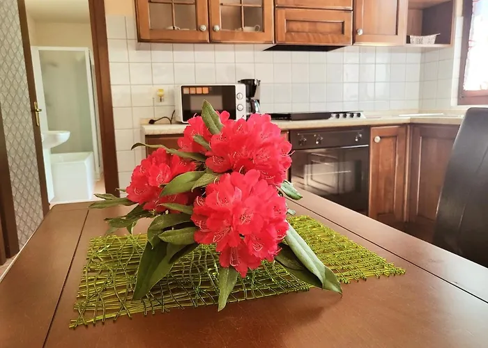 펜션 Mid Of Nature ' Bella Vista Maggiore Mit Traumhaften Seeblick, Terrasse Und Grossen Garten *