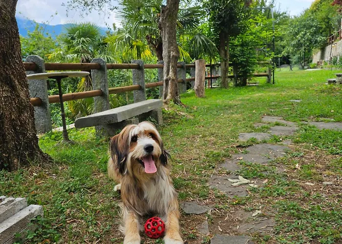 펜션 Mid Of Nature ' Bella Vista Maggiore Mit Traumhaften Seeblick, Terrasse Und Grossen Garten *