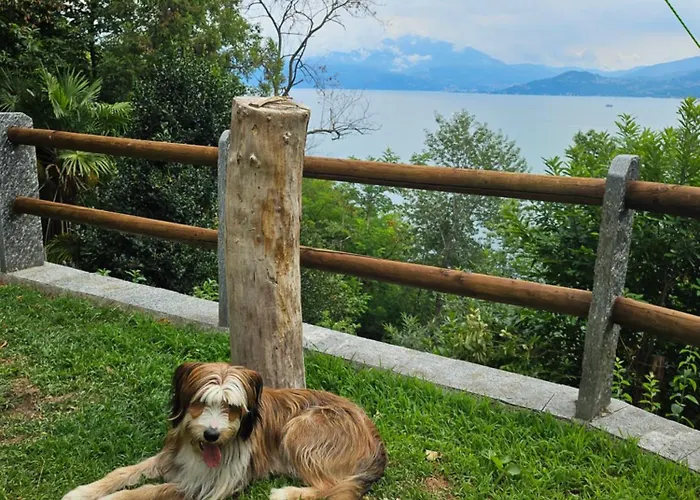 Mid Of Nature ' Bella Vista Maggiore Mit Traumhaften Seeblick, Terrasse Und Grossen Garten Dom wakacyjny Ghiffa