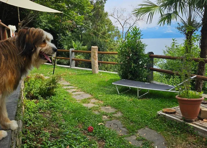 펜션 Mid Of Nature ' Bella Vista Maggiore Mit Traumhaften Seeblick, Terrasse Und Grossen Garten