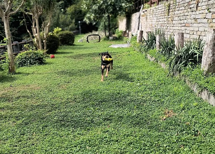 Mid Of Nature ' Bella Vista Maggiore Mit Traumhaften Seeblick, Terrasse Und Grossen Garten *