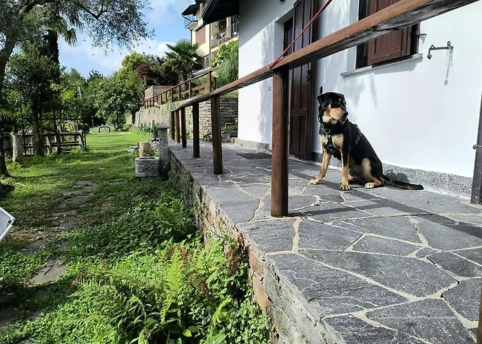 Mid Of Nature ' Bella Vista Maggiore Mit Traumhaften Seeblick, Terrasse Und Grossen Garten Dom wakacyjny Ghiffa